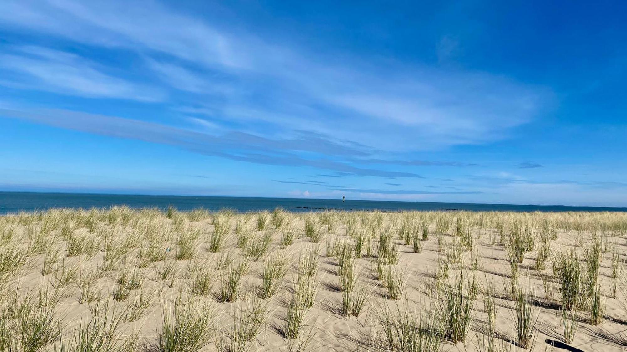 Royal Knokke Lejlighed Eksteriør billede